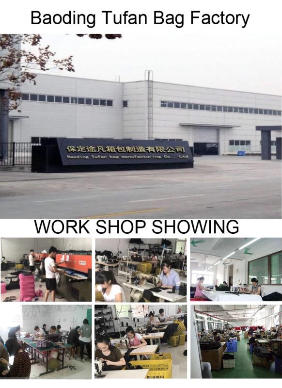 Verified China supplier - Hebei Shifang Supply Chain Management Co., Ltd.