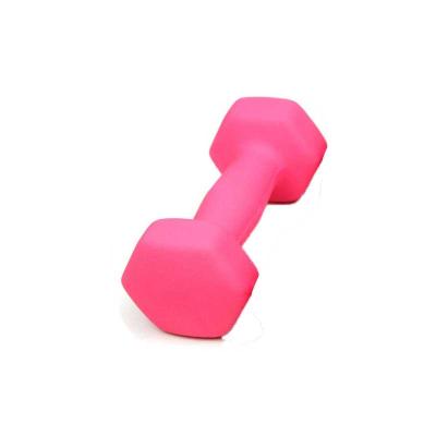 China Wholesale Custom Logo Dumbbell 2kg Sports Headquarters Dumbbell Iron Handle Non-Slip Dumbbell for sale