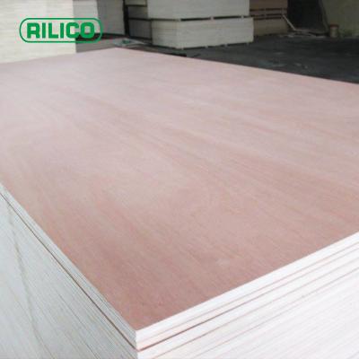 China Bingtangor brand of furniture decoration RILICO/birch plywood/red oak/sapele/okoume for furniture for sale