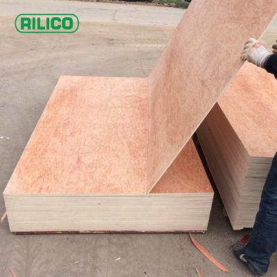 China 15mm and 18mm tzalam furniture decoration parota veneer natural plywood 5mm triplay both sides for sale