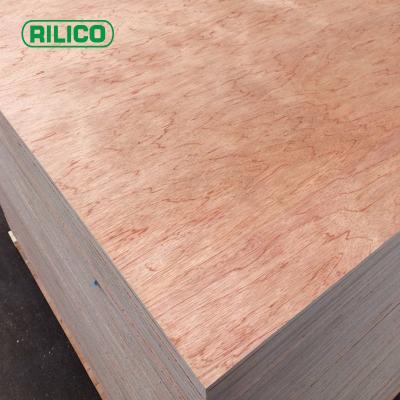 China Furniture decoration 12mm newest natural white ash wood veneer ash plywood for furniture for sale