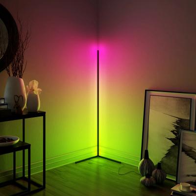 China Ignition Functions Dimmable Floor Lamp RGB LED Modern Floor Position Lamp Corner Light Remote Control Light for sale