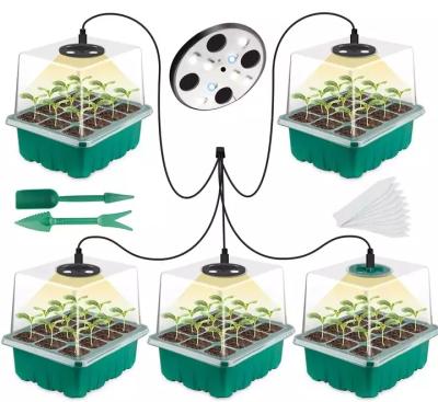 China Seed Starting Seedling Tray 5 Pack Plant Starter With Grow 8PCS LED Light Greenhouse Growing Trays With Holes 60 Cell Per Tray for sale