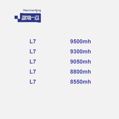 China Workstation L7 9300mh/s 9300mh 9300m 9300 9.3gh 9.3g L7 8800mh/s 8800mh 8800m 8800 8.8gh 8.8g L7 9.16gh 9.16g MH mh/s used and new with PSU. for sale