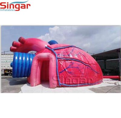 China Commercial Oxford Cloth Giant Inflatable Medical Heart Model For Science for sale