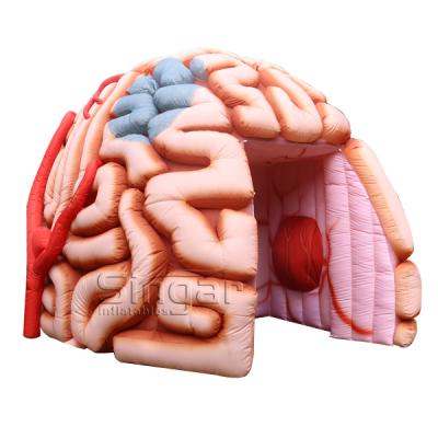 China Commercial Fabric Giant Oxford Inflatable Brain, Inflatable Display Brain, Brain Inflatables for sale