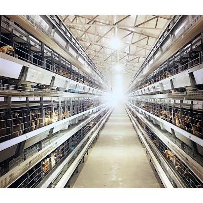 China Easily Install Wholesale High Quality Automatic Stainless Steel Battery Chicken Cages For Sale for sale