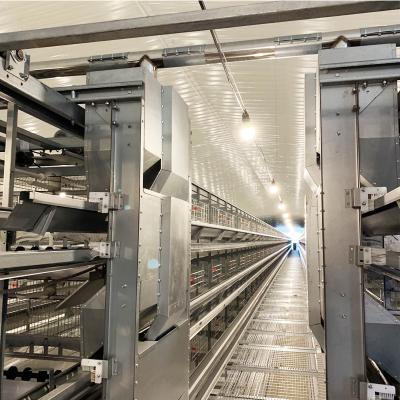 China Easily Install 15000 Layers One Layer Battery Type Poultry Equipment Cages Automatic Feeder For Chicken Cages for sale