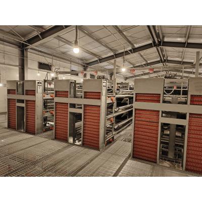 China Easily Install Automatic Layer Chicken Battery Poultry Farming Equipments H Type Cage for sale