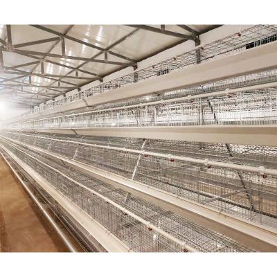 China Farms Advanced Farm Equipment A TYPE 120 Layers Chicken Cage For Sale In Nigeria for sale