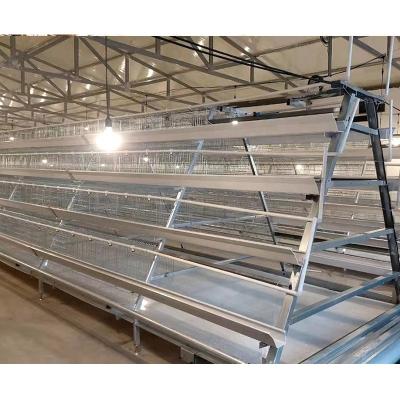 China Africa Farms California Chicken Cage A Type H Animal Husbandry Equipment For Poultry for sale