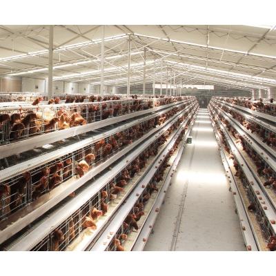 China Easily Install Battery Stainless Steel Poultry Equipment Farming Chicken Cage Layer Cages for sale