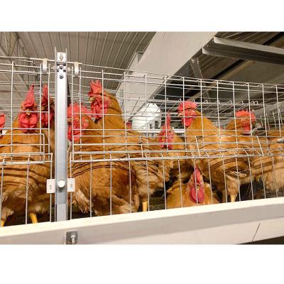 China Easily Install Mexico Galvanized Chciken Chicken Battery Broiler Cage For Poultry for sale