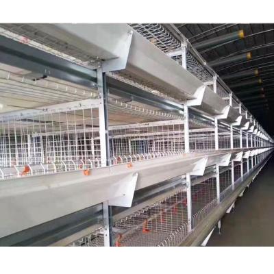 China Easily Install Automatic Battery Poultry Equipment Cages Galvanized Broiler Cage for sale