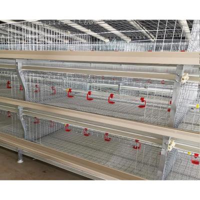 China Easily Install Chicken Battery Poultry H Type Animal Cages Broiler for sale