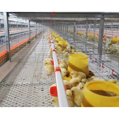 China Easily Install Chicken H Battery Poultry Farm Broiler Breeder Cages for sale