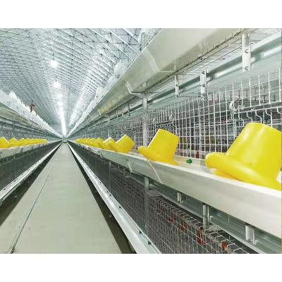 China Easily Install Fully Automated Chicken Battery Poultry Broiler Deep Cage for sale