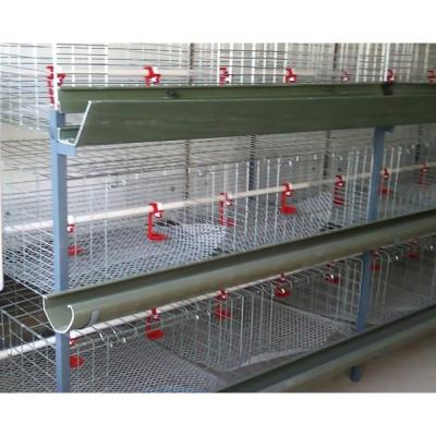 China Easily Install Poultry Broiler Tech Caged Battery Cages In Kenya for sale