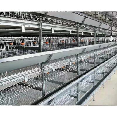 China Easily install 128 poultry chicken broiler battery cages for chicken for sale