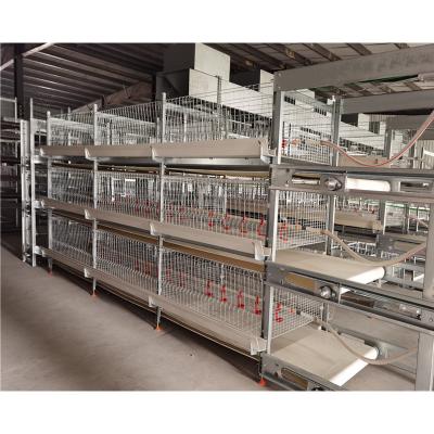 China Easily Install Type 3 Tier Automatic Broiler Poultry Electric Stack Cages For Poultry Chicken for sale