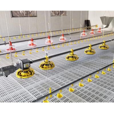 Китай Easily Install Poultry Equipment Chicken Farming Drinking Feeding Line Floor Broiler For Breeding продается