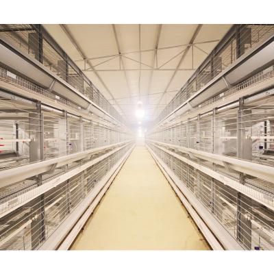 China Easily Install Fully Automated Poultry Chicken Farm Battery Breeder Cages For Sale en venta