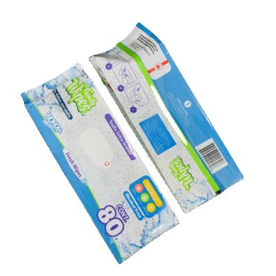 China Household Reusable Baby Cloth Plastic Packaging Custom Printing Wet Pouch for sale