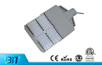 China Inventronic Driver 100W led street lighting , exterior roadway lighting for sale