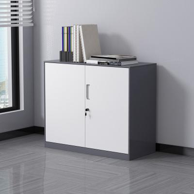 China (Office Furniture Other Metal Adjustable File Storage Cabinet) Moq20 for sale