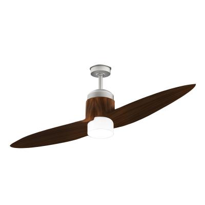 China Modern Fast Delivery DC Motor 2 Blade Kitchen Ceiling Exhaust Fan In Winter for sale