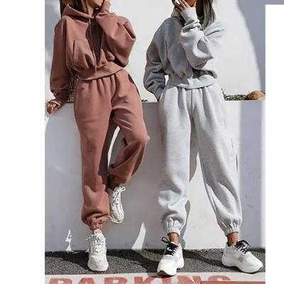 China 2022 Women's Gym High Quality Workout Anti-Wrinkle Jogger 100% Cotton Custom Logo 2 Piece Velvet Set Crop Top Women Oversized Sweatshirt for sale