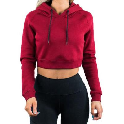 China High quality Anti-wrinkle polyester fitness graphic crop top 100% cotton hoodies for women for sale