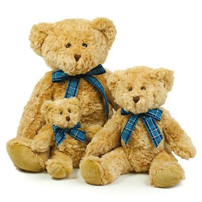 China Can Be Voice Message High Quality Soft Plush Toy Teddy Bear With Custom LOGO Ribbon for sale