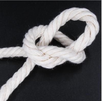 China Sustainable Hot Sale Twisted Macrame Tie 3mm 4mm Natural 5mm Cotton Rope for sale