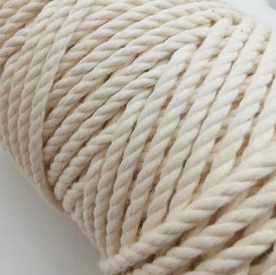 China Viable Natural Color Macrame Rope Twisted Braided Cotton Cord 3mm Cheap for sale