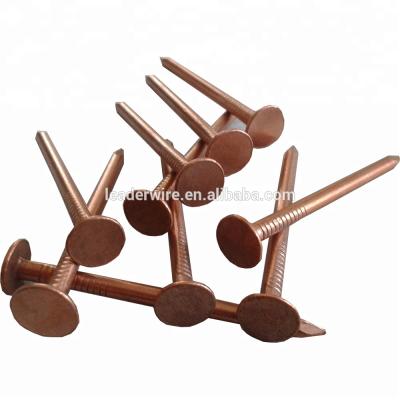 China Roof Construction Copper Roof Felt Rag Nails For Wooden Roof Construction for sale