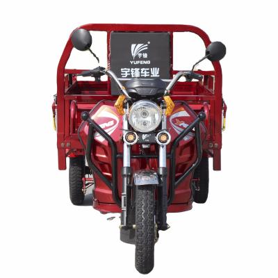 China 3 Wheel FM Electric Cargo Truck Adult Tricycle for sale