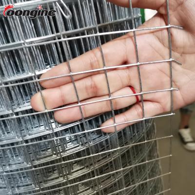 China Factory Low Price Anti - Corrosion 2*2 Hot Dipped Galvanized Welded Iron Wire Mesh Panel for sale