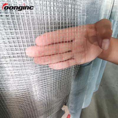 China 16 Gauge Anti - Corrosion Wholesale Hot Dipped Galvanized Wire Mesh Panel Welded Wire Mesh for sale