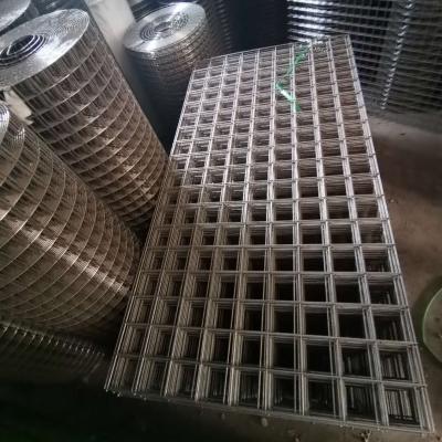 China Galvanized Fence Mesh Hot Selling 1X1 Bird Cage Electro Welded Wire Mesh Roll In Metal for sale