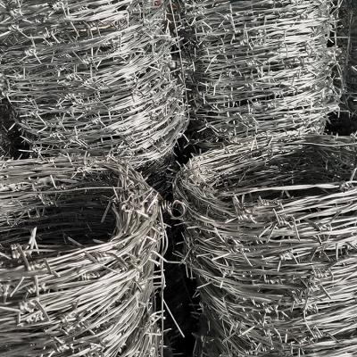 China Large Protection China Electro Galvanized Barbed Wire Grassland Barbed Wire Mesh Manufacturer for sale