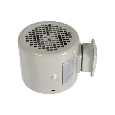 China Factory Conversion Motor Variable Frequency Fan Blower For Variable Frequency Motor for sale