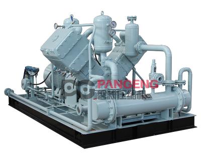 China energy & Mining Oil Free Biogas Compressor Piston Reciprocating Double Row Compressor for sale