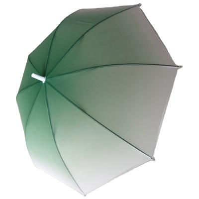 China All in 1 21inch EVA Gift Rain Straight Plastic Umbrellas Cheap for sale