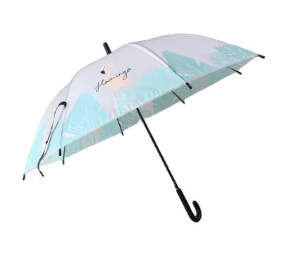 China All in 1 21inch EVA Gift Rain Straight Plastic Umbrellas Cheap for sale