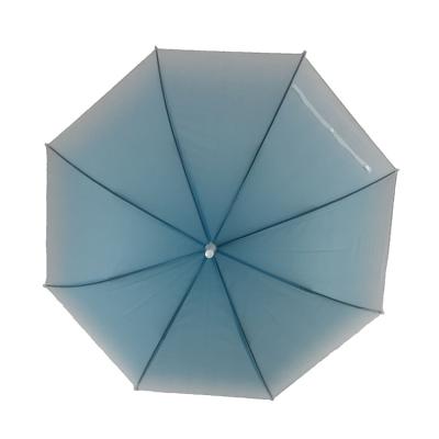 China All In 1 2020 Hot Sale Color Gradient Design Changing Whole Copy EVA Plastic Umbrella for sale