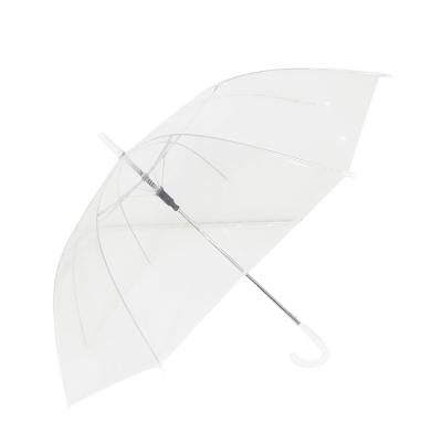 China Pongee 2020 best selling straight fashion transparent clear plastic umbrellas with transparent POE for sale