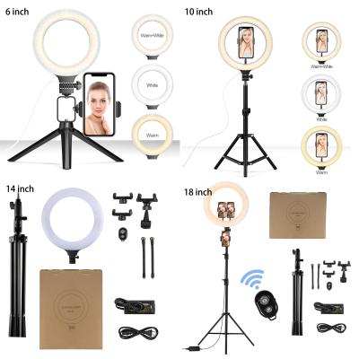 China ABS 10 Inch Led Circle Makeup Selfie Led Ring Light With Stand Ring Light With Tripod Holder Ring Light for sale