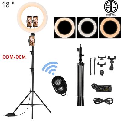 China ABS SHEGINEL 18 Inch Video Studio LED Selfie Ring Light with Tripod Stand Phone Circle Ring Light for sale