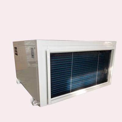 China China Swimming Pool Factory Price High Performance 90L/day Ceiling Dehumidifier for sale